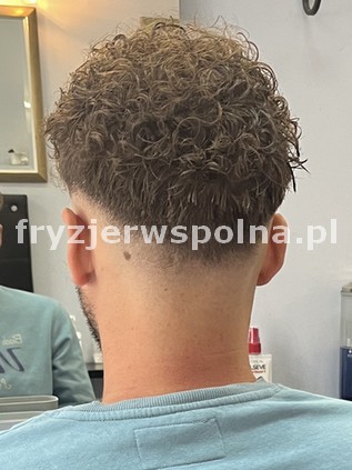 Fryzjer Wspólna 54A - Męski styl 20-06-2024